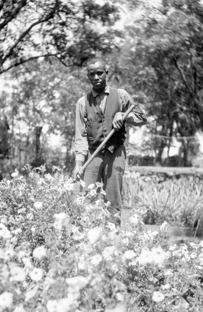 african american man working in a garden.